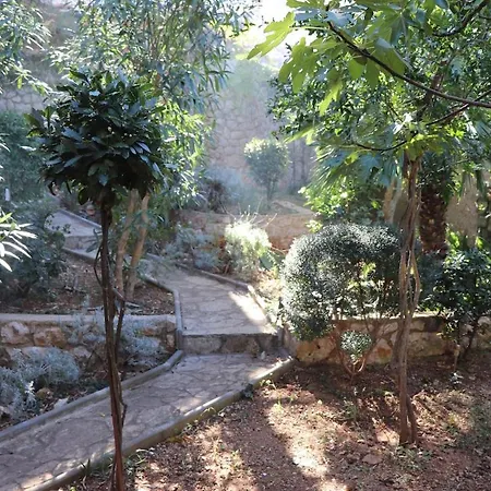 House Eva Nyaraló